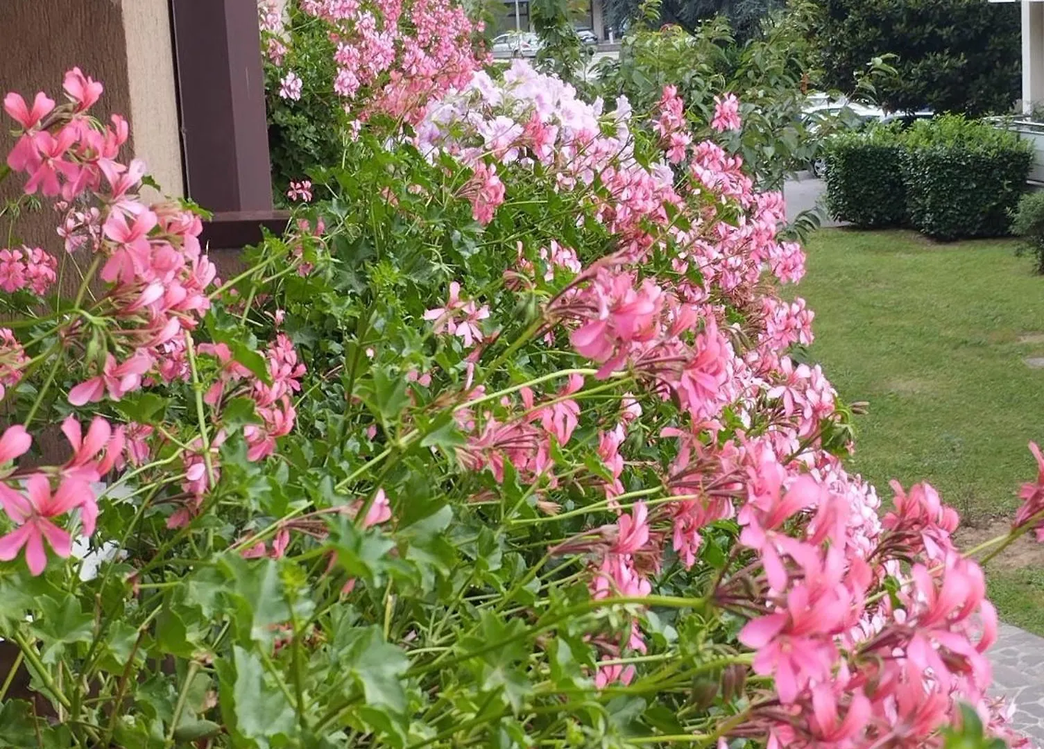 Apartmán La Dama Dei Fiori Vimercate Itálie